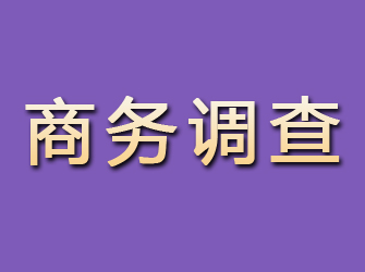 台前商务调查